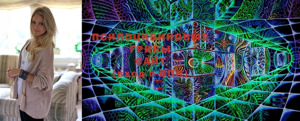 кристаллы Гусь-Хрустальный