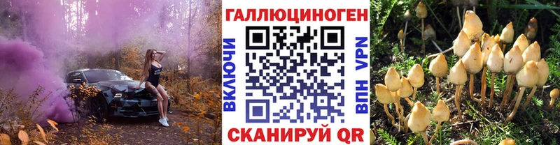 Галлюциногенные грибы GOLDEN TEACHER  Игарка 